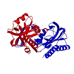 Image of CATH 2w1t
