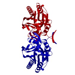 Image of CATH 2w1v