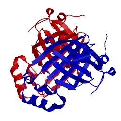 Image of CATH 2w2b
