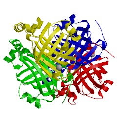 Image of CATH 2w2f