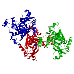 Image of CATH 2w2i