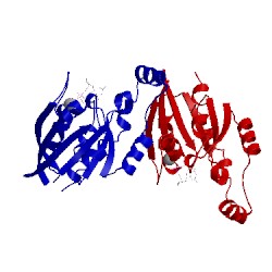 Image of CATH 2w2x