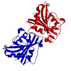 Image of CATH 2w3b