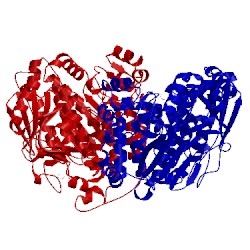 Image of CATH 2w3p