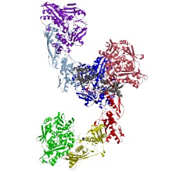 Image of CATH 2w3r