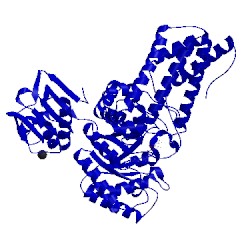 Image of CATH 2w4x