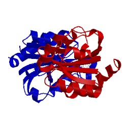 Image of CATH 2w5u