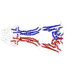 Image of CATH 2w6d