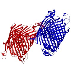 Image of CATH 2w6t