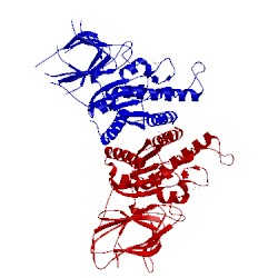 Image of CATH 2w9x