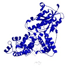 Image of CATH 2wb2