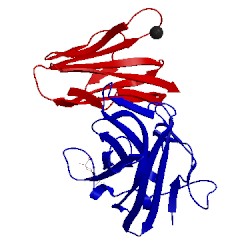 Image of CATH 2wbw