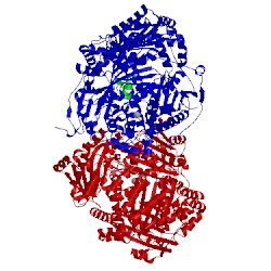 Image of CATH 2wby