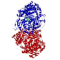 Image of CATH 2wc0