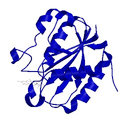 Image of CATH 2wc1