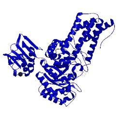 Image of CATH 2wca