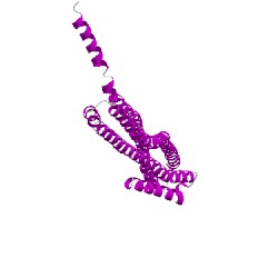 Image of CATH 2wcdL