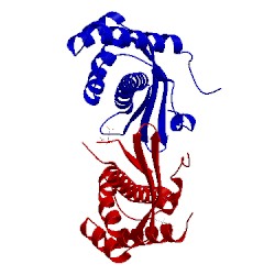 Image of CATH 2wcq