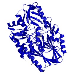 Image of CATH 2wdf