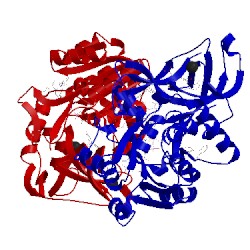 Image of CATH 2wek