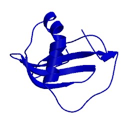 Image of CATH 2wgo