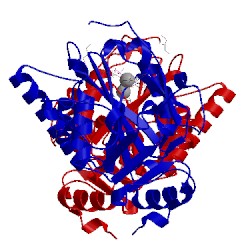 Image of CATH 2wgz