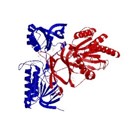 Image of CATH 2whd
