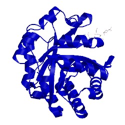 Image of CATH 2whl