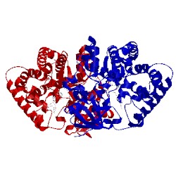 Image of CATH 2wi9