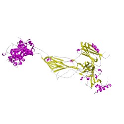 Image of CATH 2winD