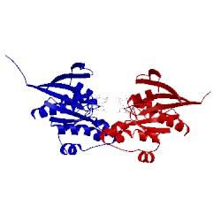 Image of CATH 2wjg
