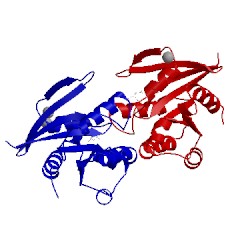 Image of CATH 2wjh