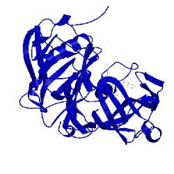 Image of CATH 2wjo