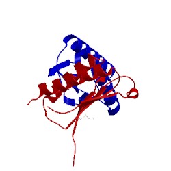 Image of CATH 2wkf