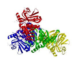 Image of CATH 2wl3