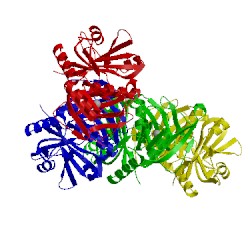 Image of CATH 2wl9