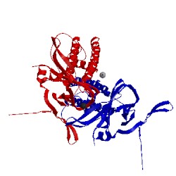 Image of CATH 2wlk