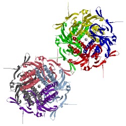 Image of CATH 2wln