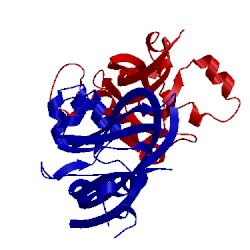 Image of CATH 2wlp