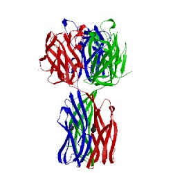 Image of CATH 2wn2