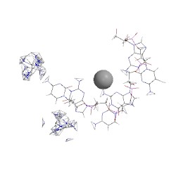 Image of CATH 2wna