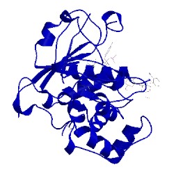 Image of CATH 2wnb