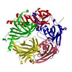 Image of CATH 2wnc