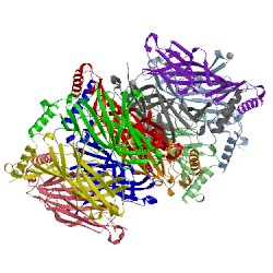 Image of CATH 2wnl