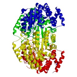 Image of CATH 2wnn