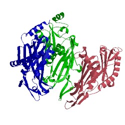 Image of CATH 2wnr