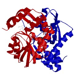 Image of CATH 2wns