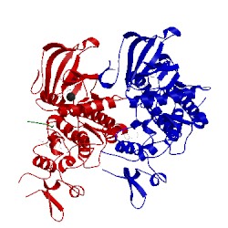 Image of CATH 2wo6