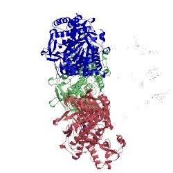 Image of CATH 2wp9