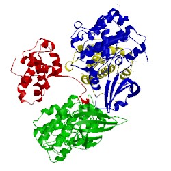 Image of CATH 2wpa